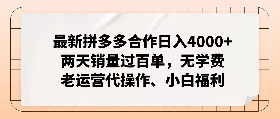 最新拼多多合作日入4000+两天销量过百单，无学费、老运营代操作、小白福利-策里行间