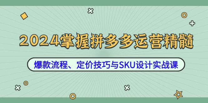 2024掌握拼多多运营精髓：爆款流程、定价技巧与SKU设计实战课-策里行间