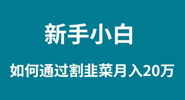 (9308期)新手小白如何通过割韭菜月入 20W-策里行间