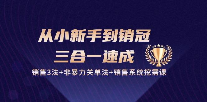 从小新手到销冠 三合一速成：销售3法+非暴力关单法+销售系统挖需课 (27节-策里行间