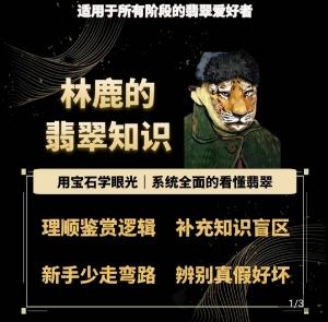 林鹿的翡翠知识，​用宝石眼光，系统全面的看懂翡翠-策里行间