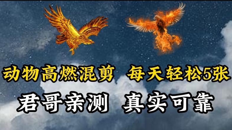 动物超燃混剪，每天轻松5张，剪辑简单大家爱看【揭秘】-策里行间