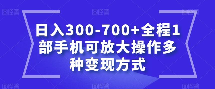 日入300-700+全程1部手机可放大操作多种变现方式【揭秘】-策里行间