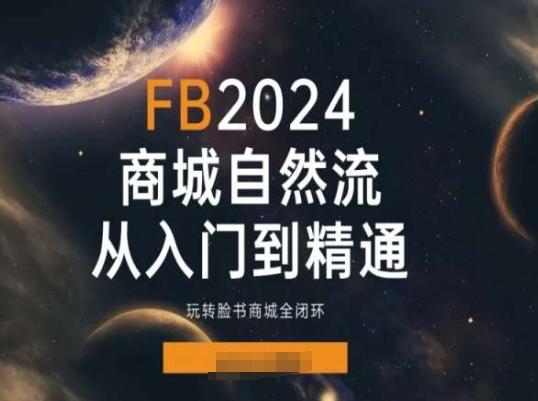 2024Faceboo商城自然流(从入门到精通)，玩转脸书商城全闭环-策里行间