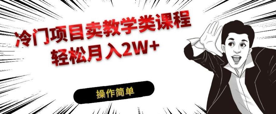冷门项目卖教学类课程，轻松月入2W+-策里行间