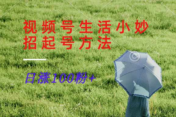 视频号生活小妙招分享赛道， 起号涨粉新方法，日涨100粉-策里行间