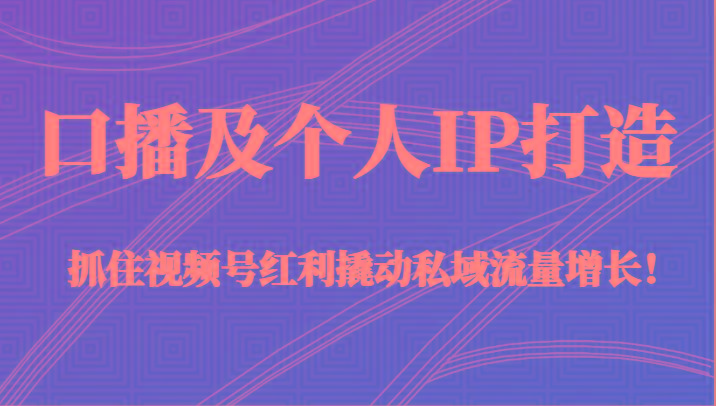 口播及个人IP打造，抓住视频号红利撬动私域流量增长！（45节课）-策里行间