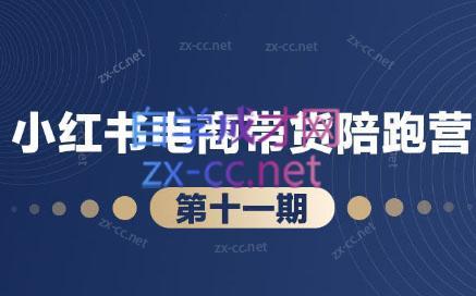 盗坤·小红书电商带货陪跑营(第十一期)-策里行间