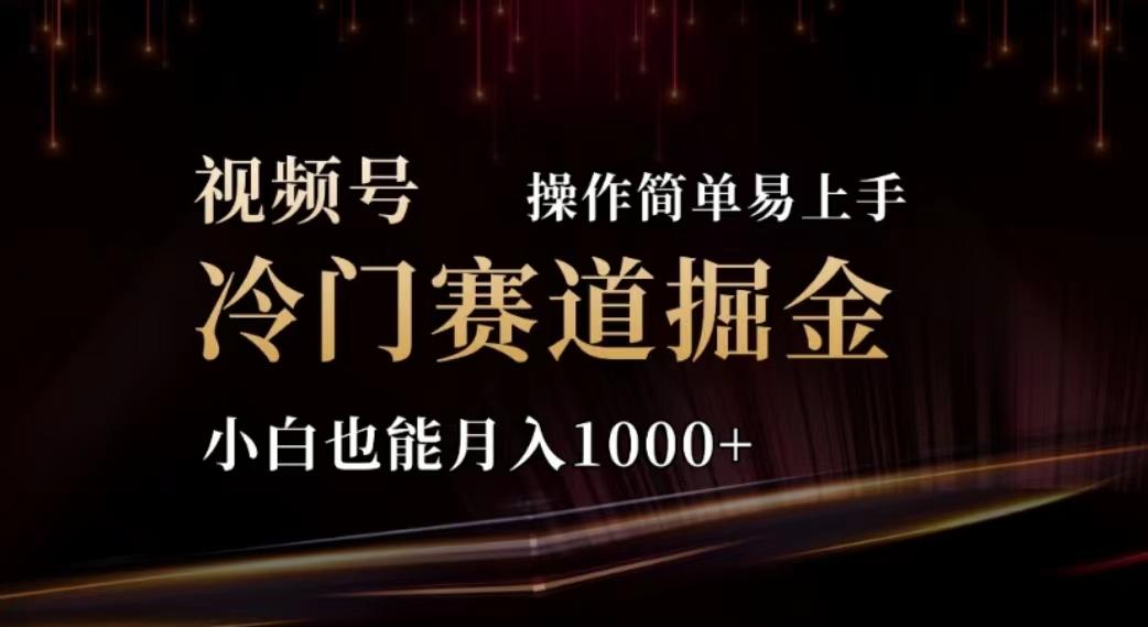 2024视频号冷门赛道掘金，操作简单轻松上手，小白也能月入1000+-策里行间