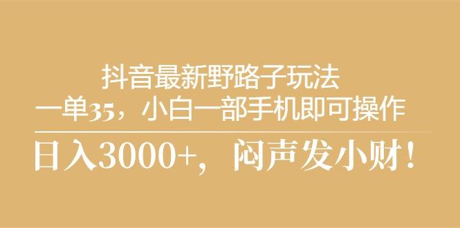 抖音最新野路子玩法，一单35，小白一部手机即可操作，，日入3000+，闷…-策里行间