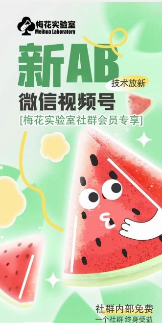 梅花实验室2024年AB技术视频号AB合成破解版-策里行间