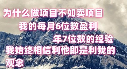 做项目不如卖项目，每月6位数盈利，年7位数经验-策里行间