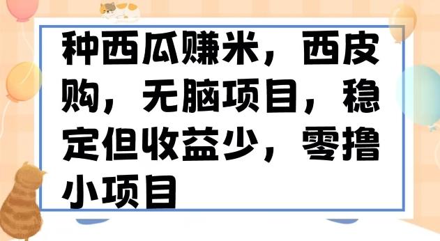种西瓜赚米，西皮购稳定长久零撸小项目-策里行间