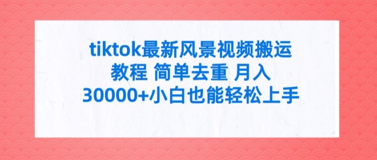 tiktok最新风景视频搬运教程 简单去重 月入3W+小白也能轻松上手【揭秘】-策里行间