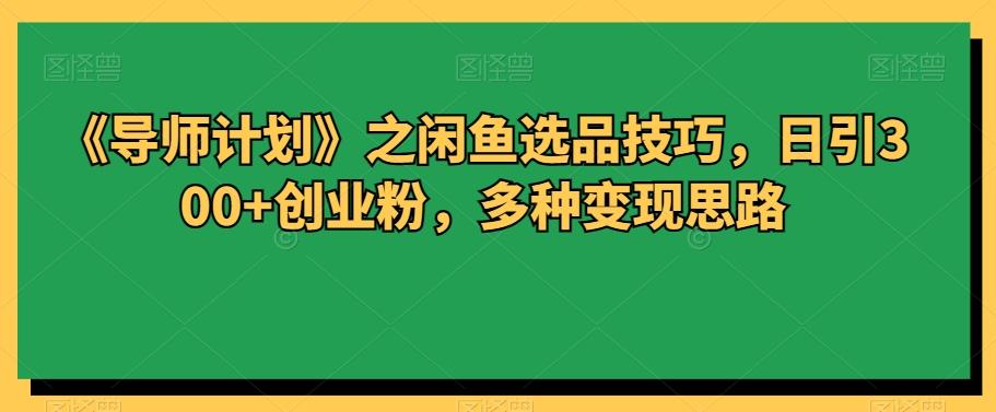 《导师计划》之闲鱼选品技巧，日引300+创业粉，多种变现思路-策里行间