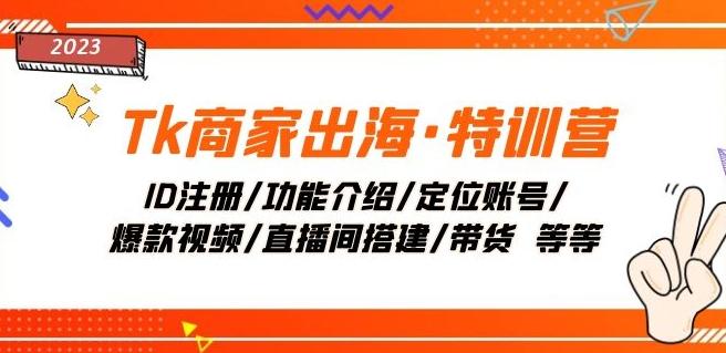 Tk商家出海·特训营：ID注册/功能介绍/定位账号/爆款视频/直播间搭建/带货-策里行间