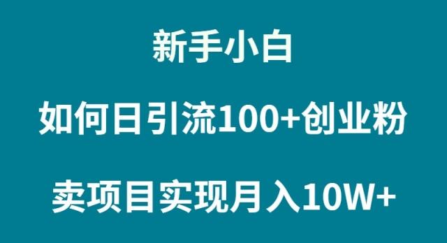 (9556期)新手小白如何通过卖项目实现月入10W+-策里行间