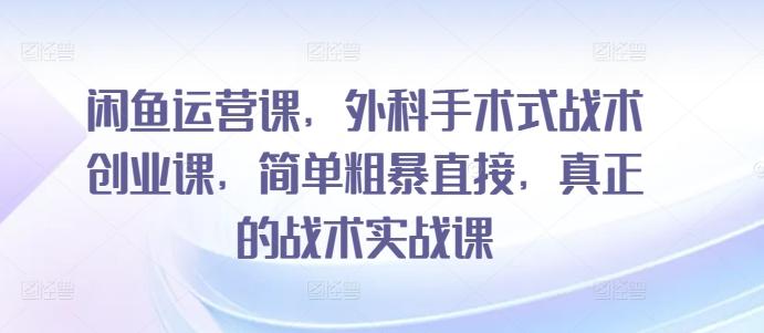 闲鱼运营课，外科手术式战术创业课，简单粗暴直接，真正的战术实战课-策里行间