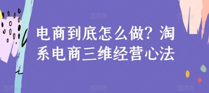 电商到底怎么做？淘系电商三维经营心法-策里行间