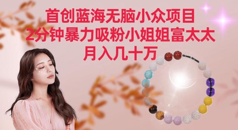 首创蓝海无脑小众项目，2分钟暴力吸粉小姐姐富太太，月入几十万【揭秘】-策里行间