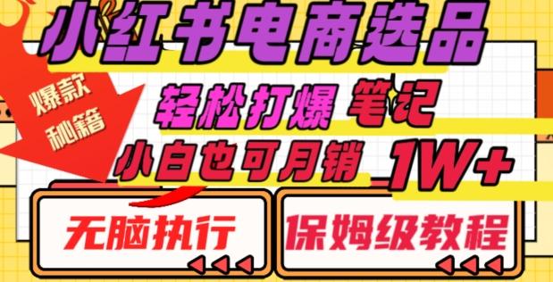 小红书电商爆款选品秘籍，帮你轻松打爆笔记，小白也可轻松月销10000+-策里行间