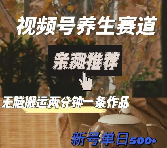 视频号养生赛道暴力掘金，无脑搬运，两分钟一条作品-新日单入500+-策里行间