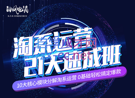 淘系运营21天速成班(更新24年6月)-策里行间