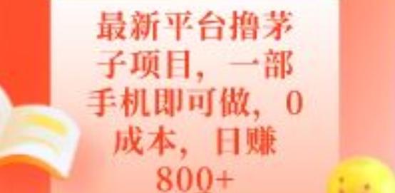 最新平台撸茅子项目，一部手机即可做，0成本，日赚800+-策里行间