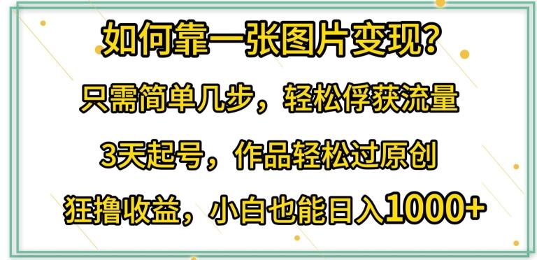 如何靠一张图片变现?只需简单几步，轻松俘获流量，3天起号，作品轻松过原创【揭秘】-策里行间