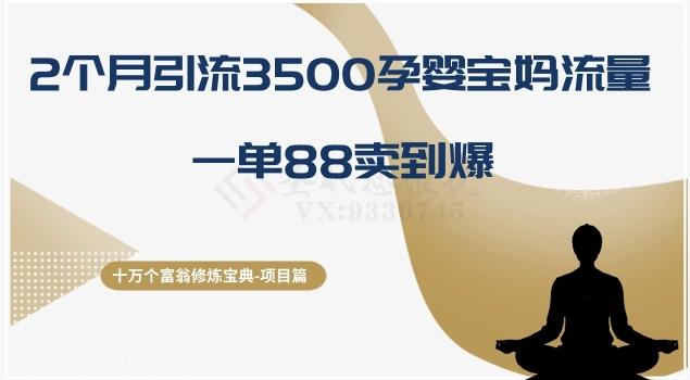 十万个富翁修炼宝典之13.2个月引流3500孕婴宝妈流量，一单88卖到爆-策里行间