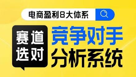 电商盈利8大体系·赛道选对，​竞争对手分析系统线上课-策里行间