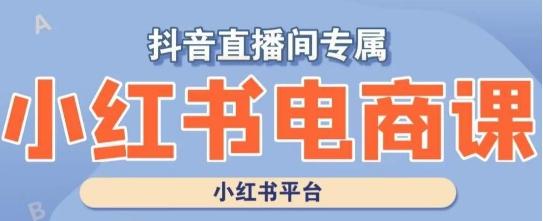 小红书电商高级运营课程，实操教学+案例分析-策里行间