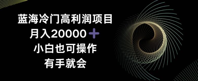蓝海冷门高利润项目月入2000，小白也可操作有手就会-策里行间