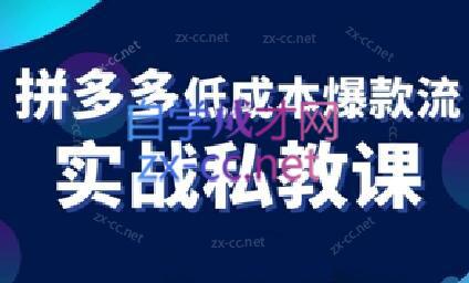 卡卡老师·拼多多低成本爆款流实战私教课-策里行间